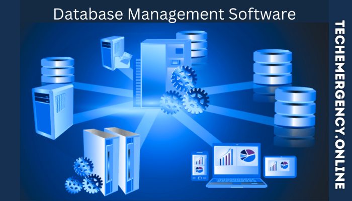 Best Database Management Software for Businesses